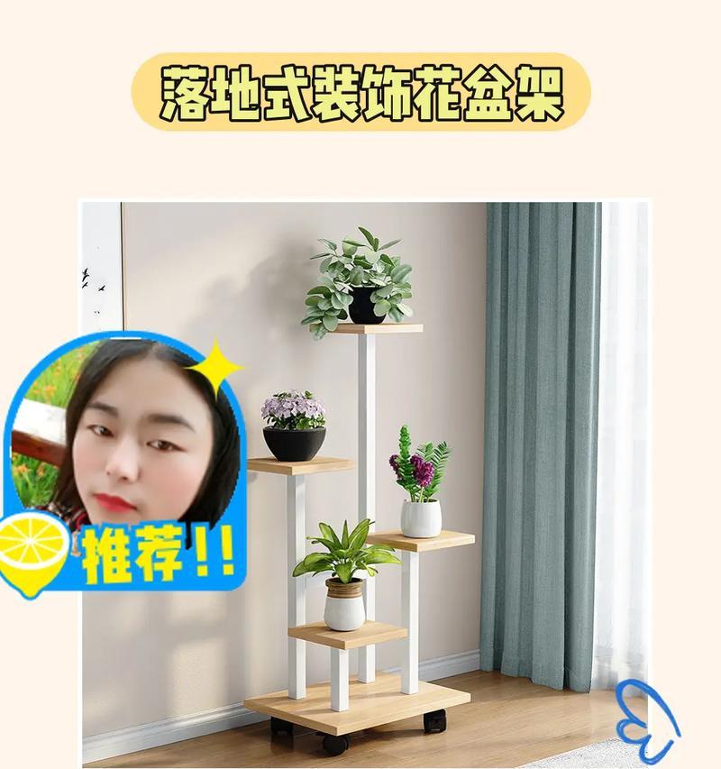 绿萝放室内还是室外好？——植物养护必知（如何选择合适的生长环境？为你解析绿萝的喜好习性）